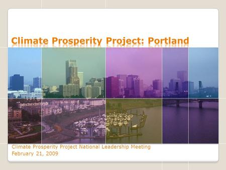 Climate Prosperity Project National Leadership Meeting February 21, 2009.