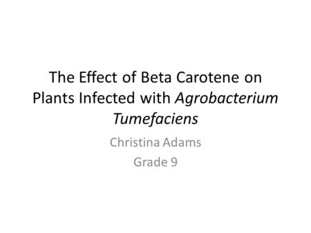The Effect of Beta Carotene on Plants Infected with Agrobacterium Tumefaciens Christina Adams Grade 9.