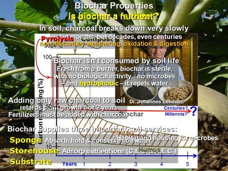 Carbon remaining (%) 100 12345 Years Biochar Uncharred Biomass Centuries? Millennia? Compost 500+°C Dr. Johannes Lehman – and hydrophobic – it repels water.