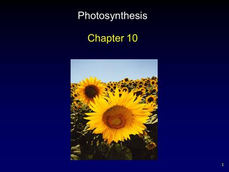 1 Photosynthesis Chapter 10. 2 Outline Chloroplasts Light-Independent Reactions Absorption Spectra – Pigments Light-Dependent Reactions Photosystems C.