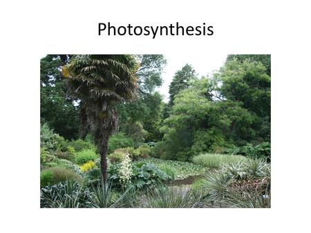 Photosynthesis. Photosynthesis is the process by which organisms use the energy of the sun to synthesize organic compounds (sugars) from inorganic compounds.