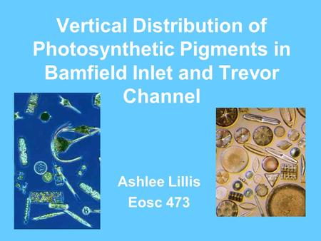 Vertical Distribution of Photosynthetic Pigments in Bamfield Inlet and Trevor Channel Ashlee Lillis Eosc 473.