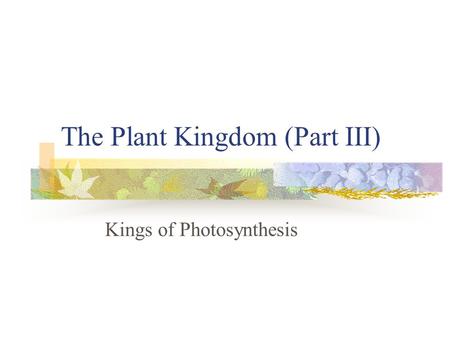 The Plant Kingdom (Part III)