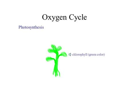 Oxygen Cycle chlorophyll (green color) Photosynthesis.