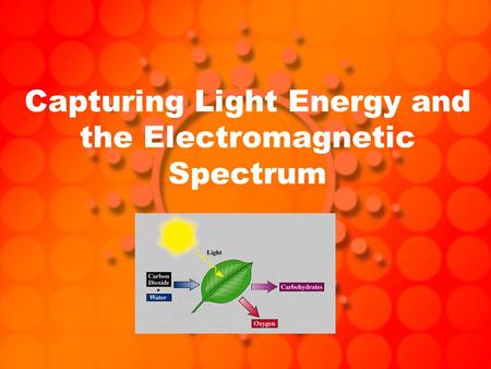 Capturing Light Energy and the Electromagnetic Spectrum.