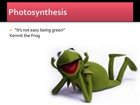  “It’s not easy being green” Kermit the Frog.  Carried out by plants, algae, some protists, and cyanobacteria.  All contain the pigment chlorophyll,