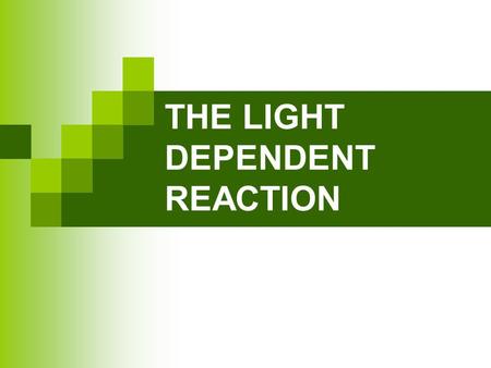 THE LIGHT DEPENDENT REACTION. OXIDATION AND REDUCTION Oxidation Is a Loss of electrons (OIL) Reduction Is a Gain of electrons (RIG) © 2010 Paul Billiet.
