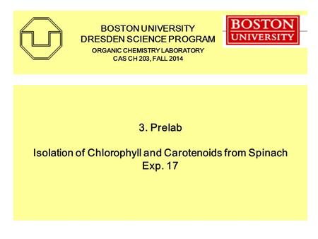 3. Prelab Isolation of Chlorophyll and Carotenoids from Spinach Exp. 17 BOSTON UNIVERSITY DRESDEN SCIENCE PROGRAM ORGANIC CHEMISTRY LABORATORY CAS CH 203,