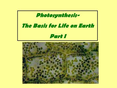 Photosynthesis- The Basis for Life on Earth Part I.