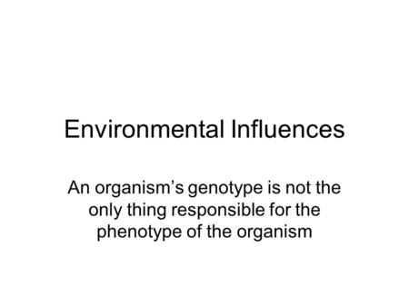 Environmental Influences An organism’s genotype is not the only thing responsible for the phenotype of the organism.