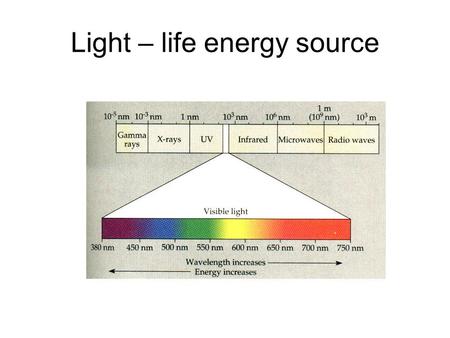 Light – life energy source. Light absorbed, reflected and transmitted.
