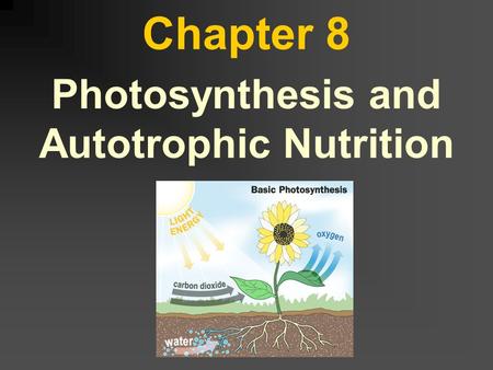 Chapter 8 Photosynthesis and Autotrophic Nutrition.