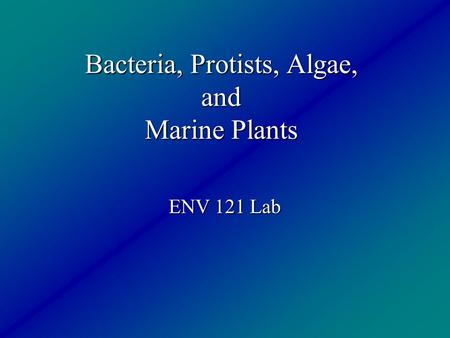 Bacteria, Protists, Algae, and Marine Plants