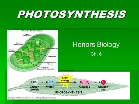 PHOTOSYNTHESIS Honors Biology Ch. 6.