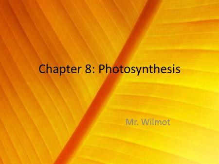 Chapter 8: Photosynthesis