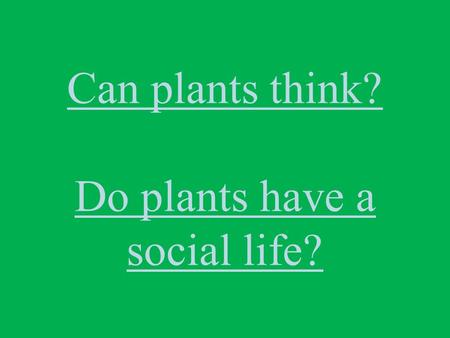 Can plants think? Do plants have a social life?. PHOTOSYNTHESIS: The starting point of life*