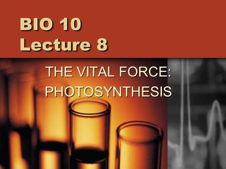 BIO 10 Lecture 8 THE VITAL FORCE: PHOTOSYNTHESIS.