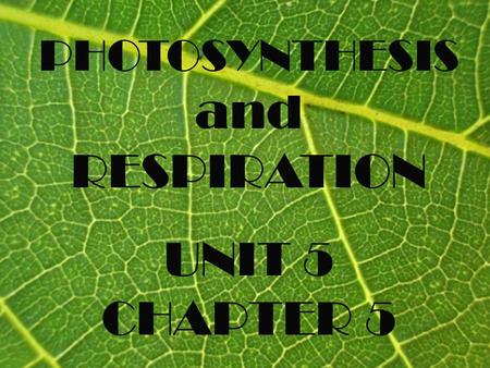 PHOTOSYNTHESIS and RESPIRATION