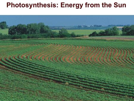 Photosynthesis: Energy from the Sun. Identifying Photosynthetic Reactants and Products  Reactants needed for photosynthesis:  H 2 O, & CO 2,  Products.