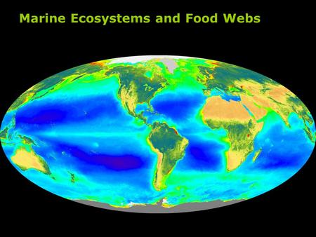 Marine Ecosystems and Food Webs. Carbon Cycle Marine Biota Export Production.