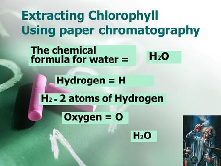 Extracting Chlorophyll Using paper chromatography