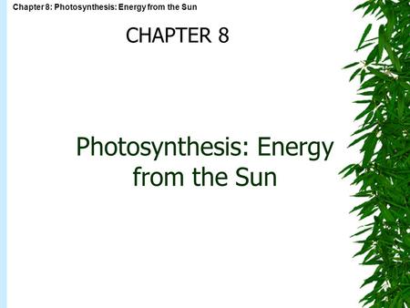 Photosynthesis: Energy