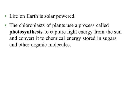 Life on Earth is solar powered. The chloroplasts of plants use a process called photosynthesis to capture light energy from the sun and convert it to chemical.