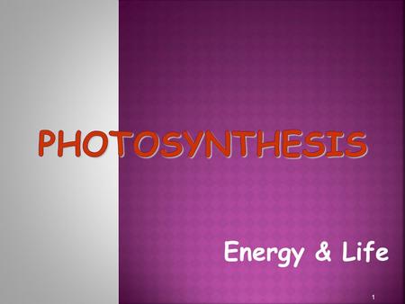 Energy & Life 1. 2 Plants and some other types of organisms that contain chlorophyll are able to use light energy from the sun to produce food. 3.