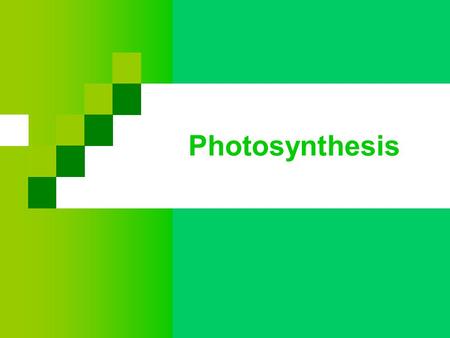 Photosynthesis. Plants capture light energy from the sun Energy is converted to chemical energy (sugars & organic molecule)