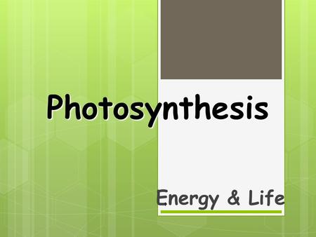 Photosynthesis Energy & Life 1. Overview of Photosynthesis 2.