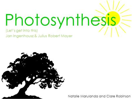 Photosynthesis (Let’s get into this)