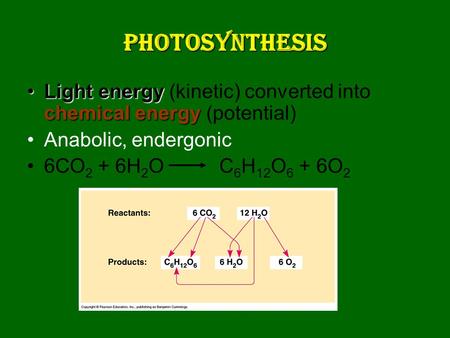 Photosynthesis Light energy chemical energyLight energy (kinetic) converted into chemical energy (potential) Anabolic, endergonic 6CO 2 + 6H 2 O C 6 H.