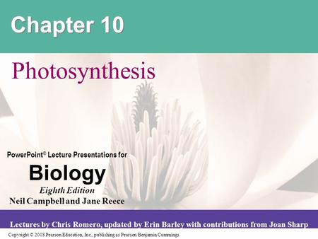 Chapter 10 Photosynthesis.