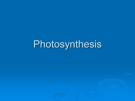 Photosynthesis. Photosynthesis: An Overview  Electrons play a primary role in photosynthesis  In eukaryotes, photosynthesis takes place in chloroplasts.