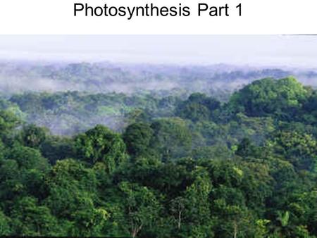 Photosynthesis Part 1. The Electromagnetic Spectrum.