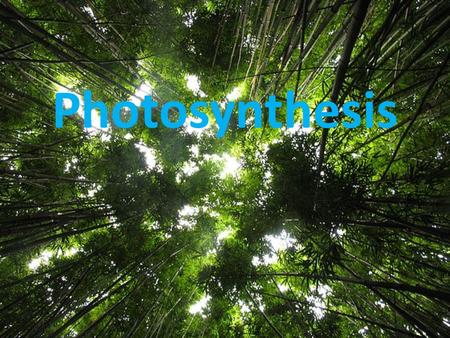 Photosynthesis. a metabolic pathway that converts light energy into chemical energy. is the process by which plants, some bacteria, and some protists.