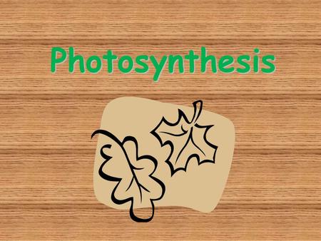 Photosynthesis. Autotrophs Plants and some other types of organisms that contain chlorophyll are able to use light energy from the sun to produce food.