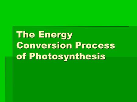 The Energy Conversion Process of Photosynthesis