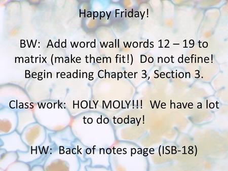 Happy Friday! BW: Add word wall words 12 – 19 to matrix (make them fit!) Do not define! Begin reading Chapter 3, Section 3. Class work: HOLY MOLY!!! We.