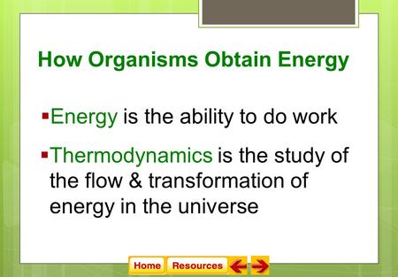  Energy is the ability to do work How Organisms Obtain Energy  Thermodynamics is the study of the flow & transformation of energy in the universe.