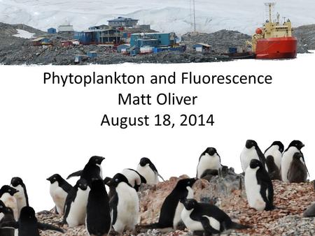 Phytoplankton and Fluorescence Matt Oliver August 18, 2014.