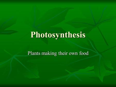 Plants making their own food