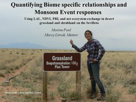 Quantifying Biome specific relationships and Monsoon Event responses Maxine Paul Marcy Litvak, Mentor Using LAI, NDVI, PRI, and net ecosystem exchange.