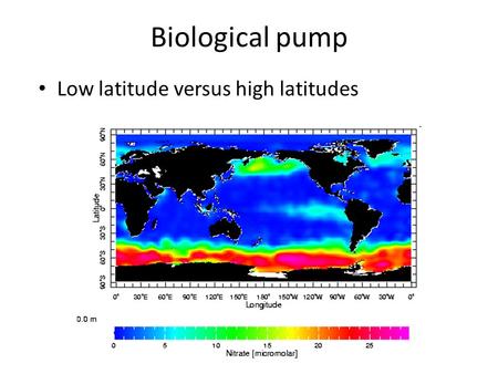 Biological pump Low latitude versus high latitudes.