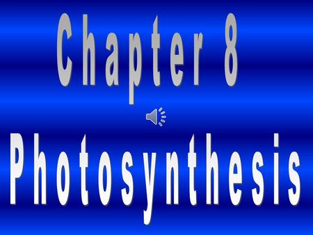 Chapter 8 Photosynthesis.