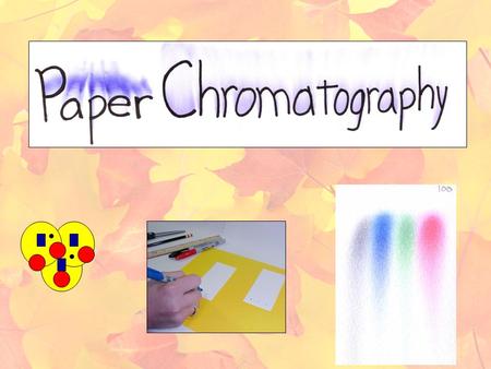 Paper Chromatography of a Spinach Leaf Lab