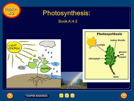 Book:A 4.2 Book:A 4.2 Photosynthesis: Book A:4-2.