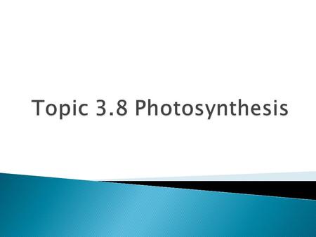 Topic 3.8 Photosynthesis.