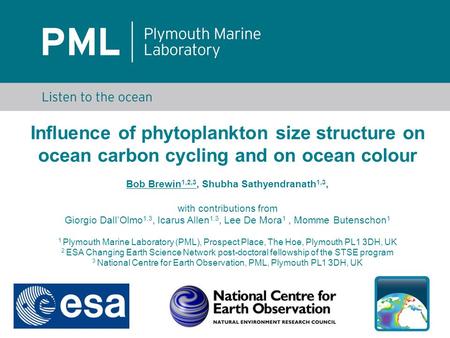 Influence of phytoplankton size structure on ocean carbon cycling and on ocean colour Bob Brewin 1,2,3, Shubha Sathyendranath 1,3, with contributions from.