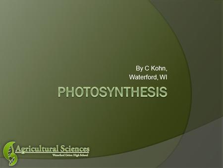 By C Kohn, Waterford, WI. Photosynthesis (in a nutshell)  The energy originally from sunlight is transformed and used to combine CO 2 and H 2 O into.